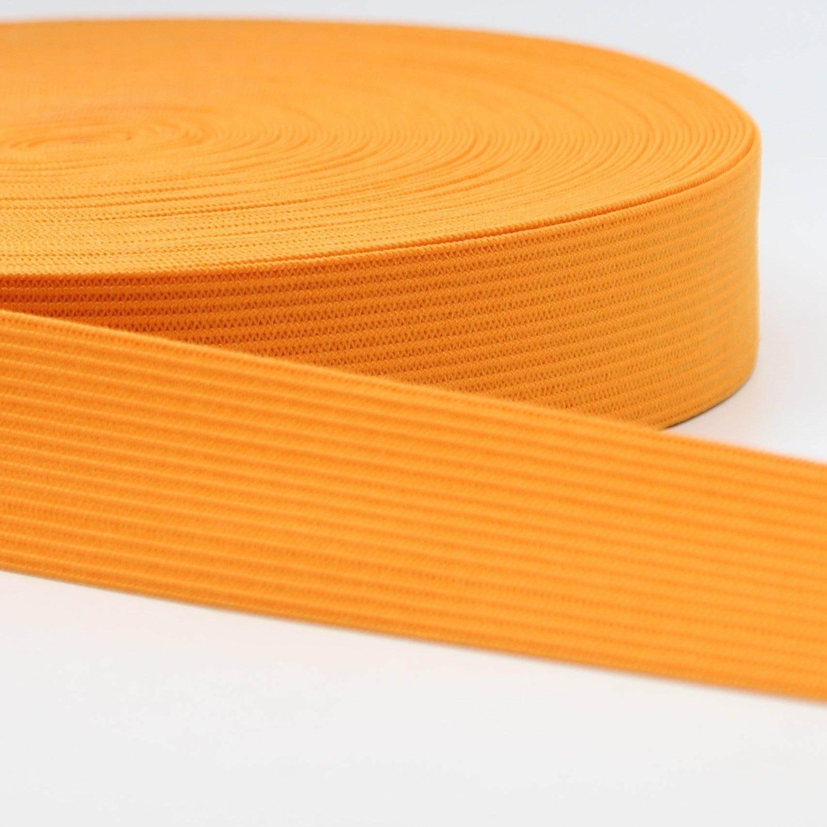 10 METERS - coloured ELASTIC 25MM #ELA1979 - ACCESSOIRES LEDUC BV