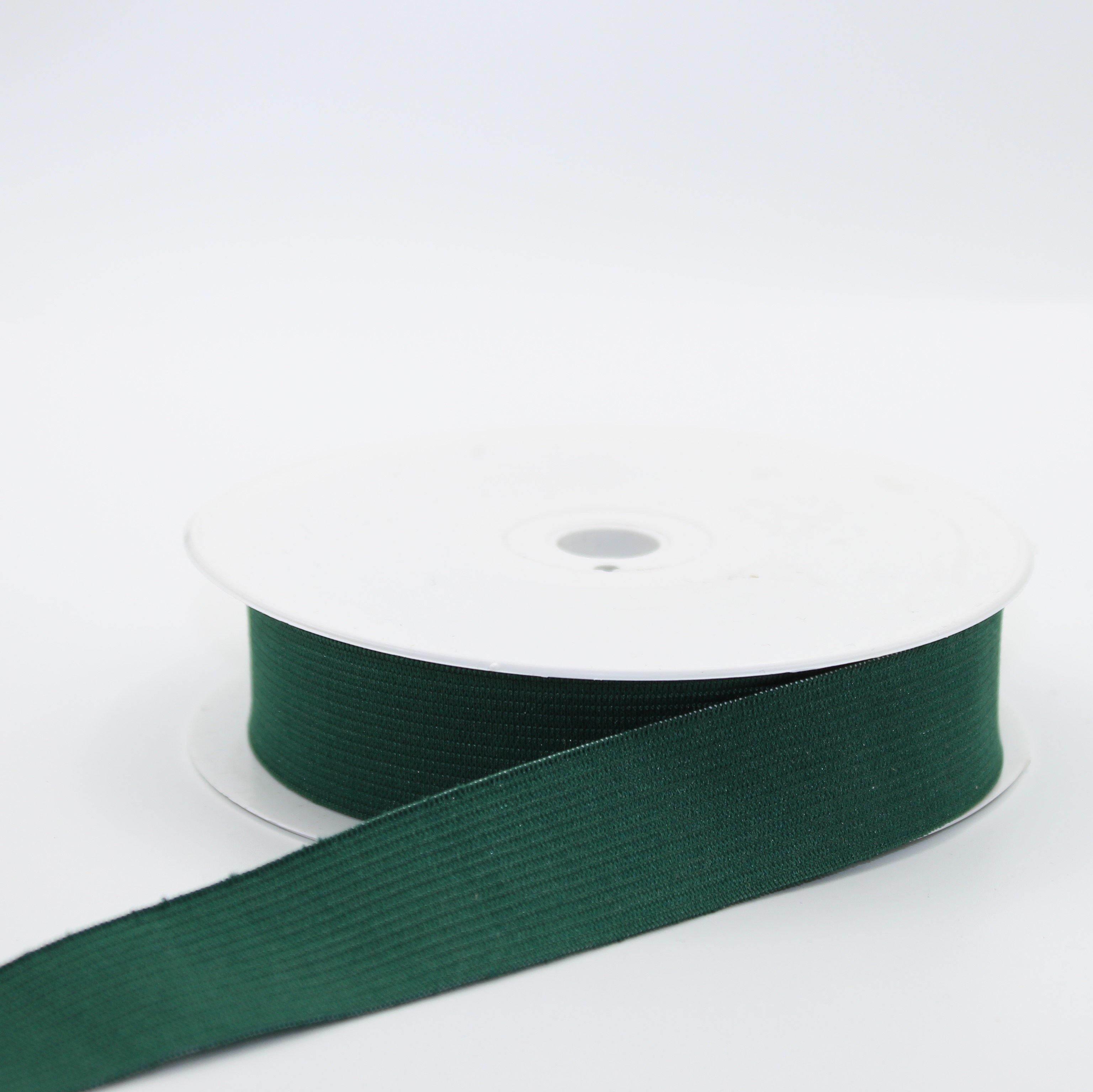 10 METERS - coloured ELASTIC 25MM #ELA1979 - ACCESSOIRES LEDUC BV